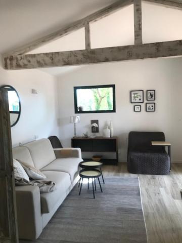 La Brindille Petit Mas Provencal Meuble De Tourisme 3 Etoiles 2-3 Personnes 1 Piece 30 M2 Tout Confort Lisiere Foret Jardin Jacuzzi Piscine Saint-Paul-en-Forêt Eksteriør billede