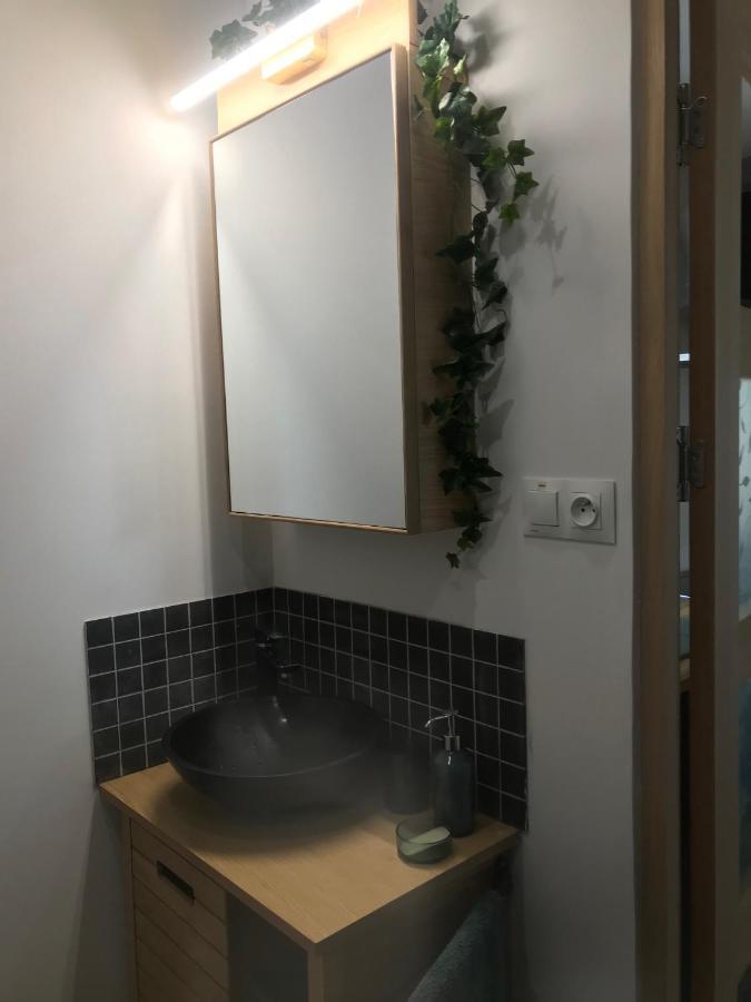 La Brindille Petit Mas Provencal Meuble De Tourisme 3 Etoiles 2-3 Personnes 1 Piece 30 M2 Tout Confort Lisiere Foret Jardin Jacuzzi Piscine Saint-Paul-en-Forêt Eksteriør billede