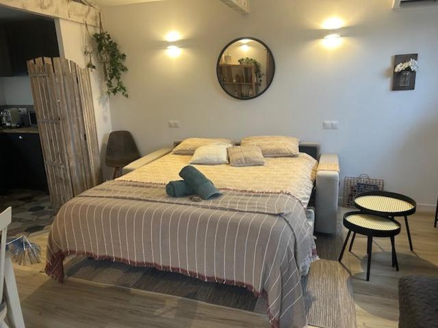 La Brindille Petit Mas Provencal Meuble De Tourisme 3 Etoiles 2-3 Personnes 1 Piece 30 M2 Tout Confort Lisiere Foret Jardin Jacuzzi Piscine Saint-Paul-en-Forêt Eksteriør billede