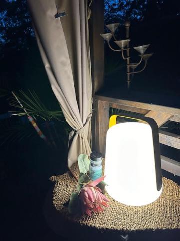 La Brindille Petit Mas Provencal Meuble De Tourisme 3 Etoiles 2-3 Personnes 1 Piece 30 M2 Tout Confort Lisiere Foret Jardin Jacuzzi Piscine Saint-Paul-en-Forêt Eksteriør billede