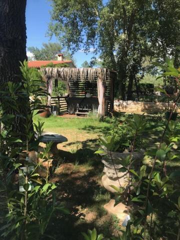 La Brindille Petit Mas Provencal Meuble De Tourisme 3 Etoiles 2-3 Personnes 1 Piece 30 M2 Tout Confort Lisiere Foret Jardin Jacuzzi Piscine Saint-Paul-en-Forêt Eksteriør billede